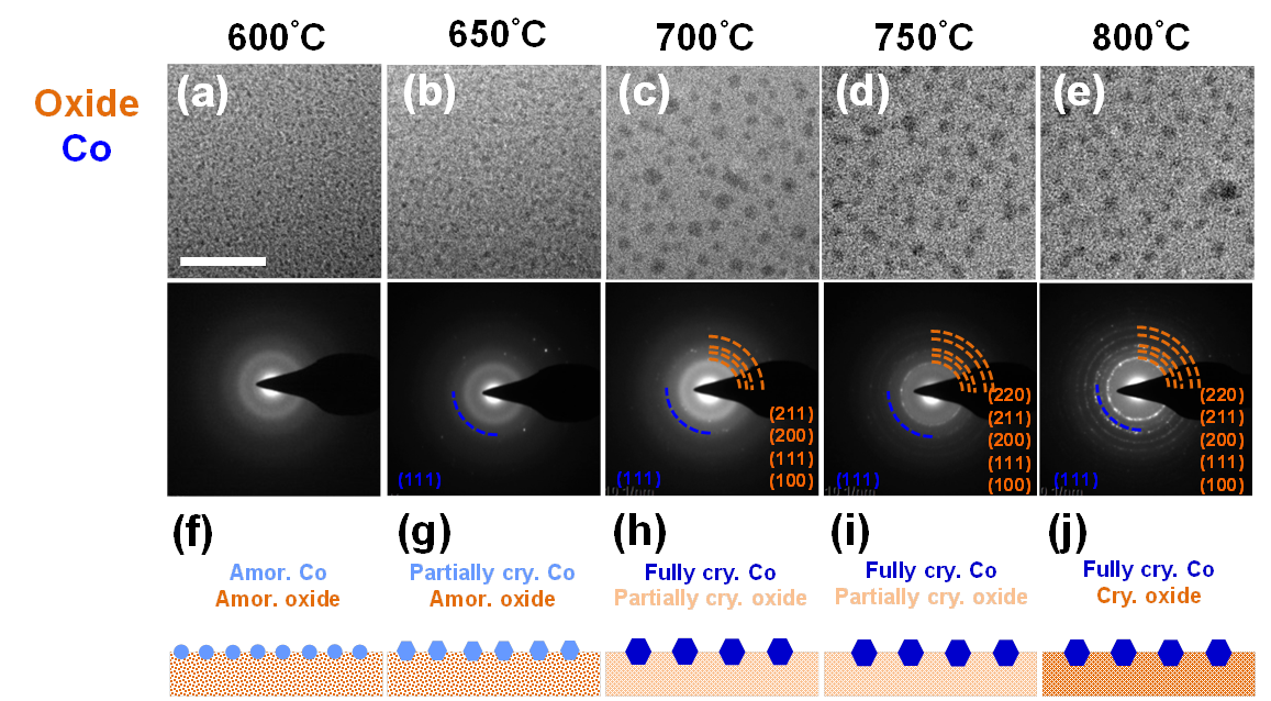 In-Situ TEM 가열 분석 연구 이미지